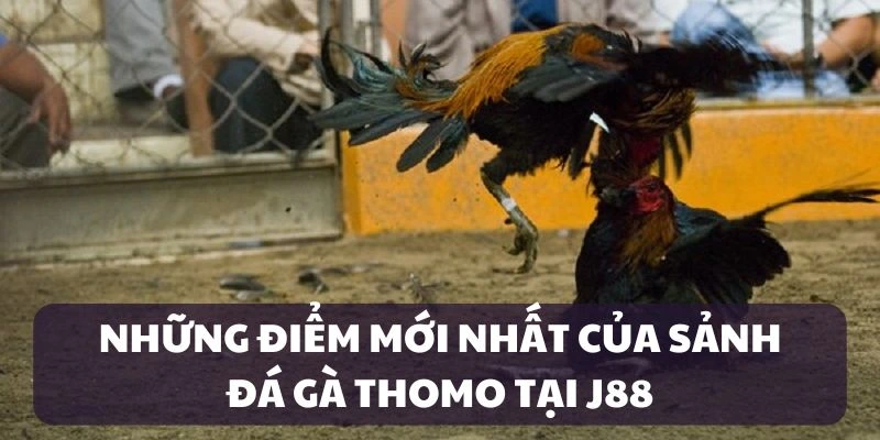 Ưu điểm của sảnh